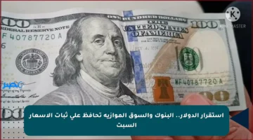 استقرار الدولار.. البنوك والسوق الموازية تحافظ على ثبات الأسعار السبت